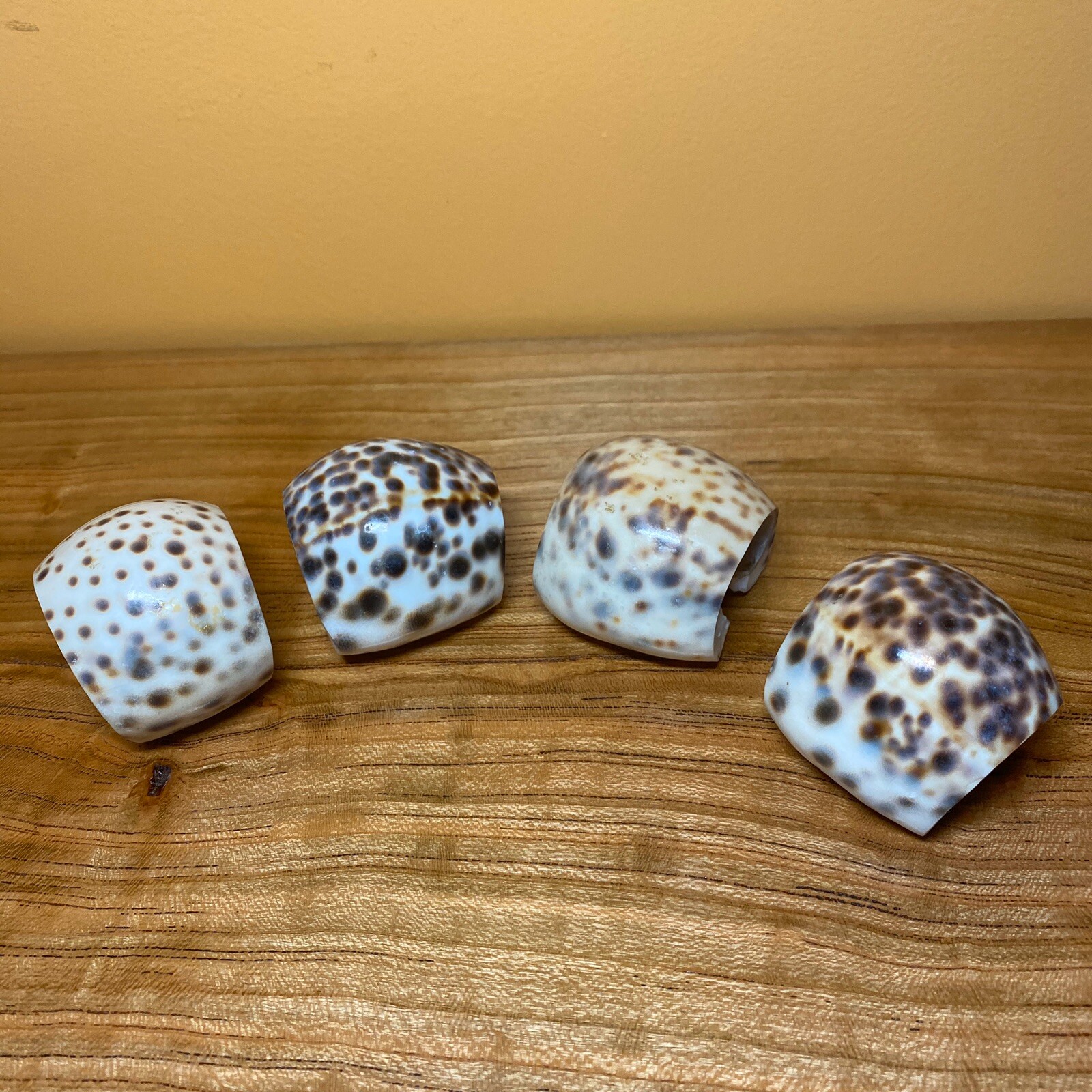 Picture 2 of 4