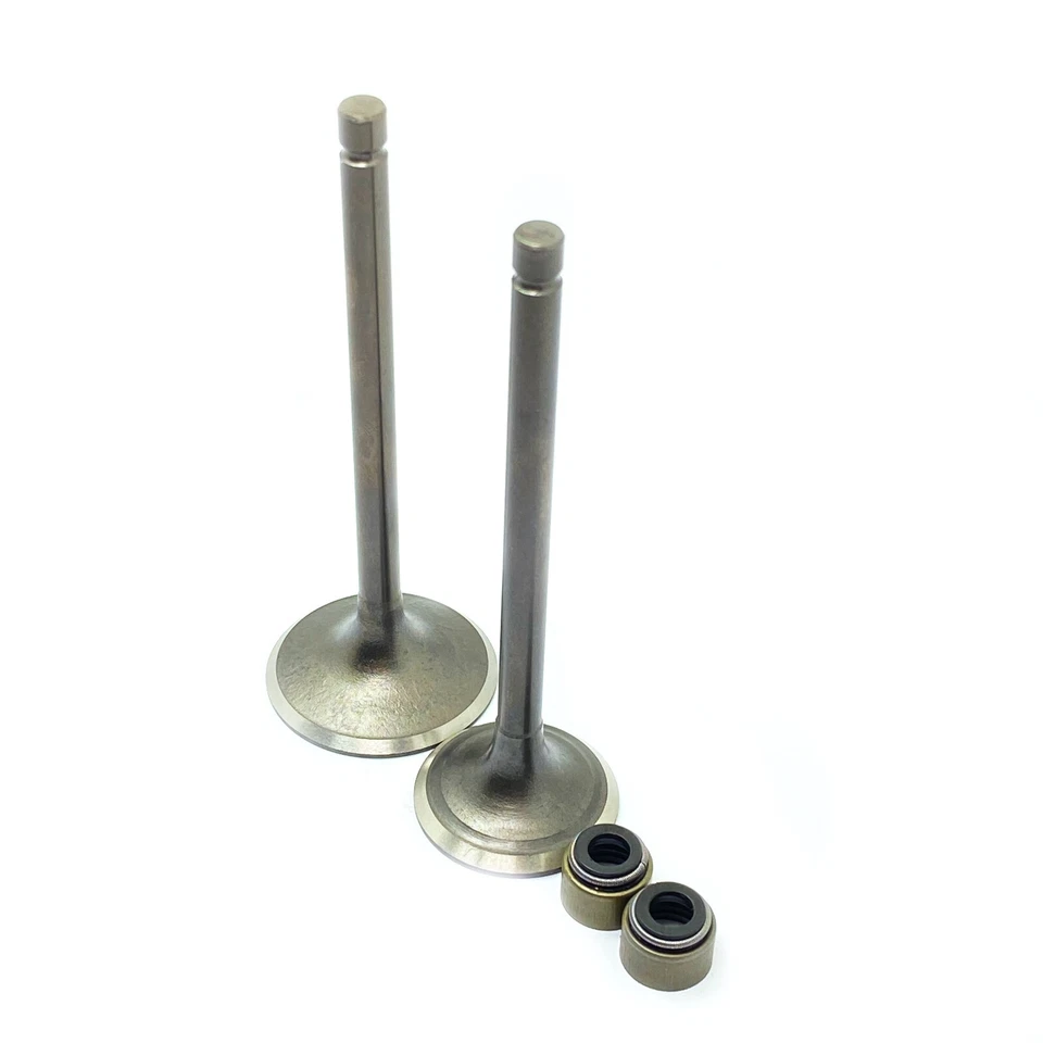 Engine Valve and Seal Fit Yamaha SEROW XT225 TT225 YFM225 TTR225 YTM225 Foto 2 de 4