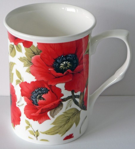 Poppy 2 cup teapot,with matching bone china mug - gift boxed. - Picture 3 of 3