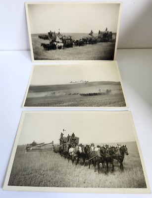 RPPC Wasco Oregon Horse Team Harvesting Gordon Ridge Howell Deaton Combine 3 Lot