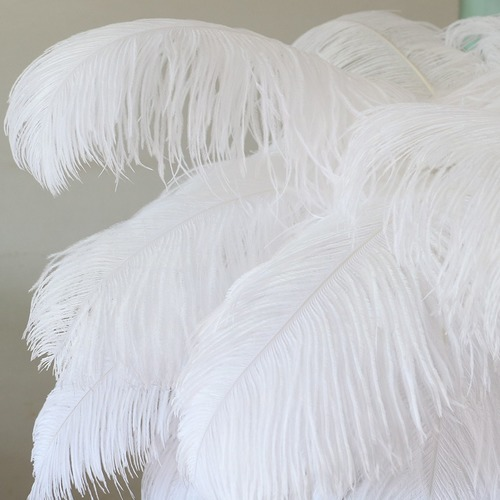 10pcs/lot White Ostrich Feathers Home Decoration Ostrich Plumes Table Crafts - Picture 5 of 37