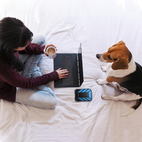 ADATA Dashdrive Durable HD710 Pro External Hard Disk Drive, USB 3.1 (1TB, Blue) - 第 4/10 張圖片