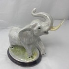 Picture 5 of 17