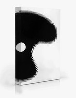 Shapiro-Obermair, E: Ekaterina Shapiro-Obermair | History And Other Objects