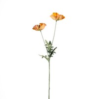 Artplants Kunst Zweig Mohn Gundula, Eco Collection, Orange-Gelb, 70Cm, Ø7-8Cm