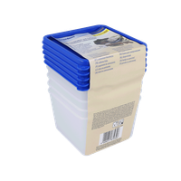 5Er Gefrierdosen 0,5L Eurohome®