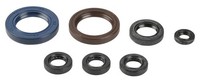 Athena Simmerringsatz FüR Ktm Sx/Exc 450/525 Bj 03-06 Uvm
