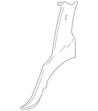 Genuine GM Rear Body Panel 15057539