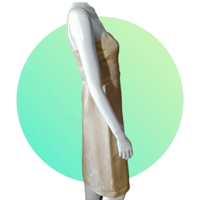 ANN TAYLOR Dress Gold & Lace Slip Party Event Sheath Dress WOMENS Sz 2 NWT $168 | eBay ANN TAYLOR Dress Gold & Lace Slip Party Event Sheath Dress WOMENS Sz 2 NWT $168 | eBay