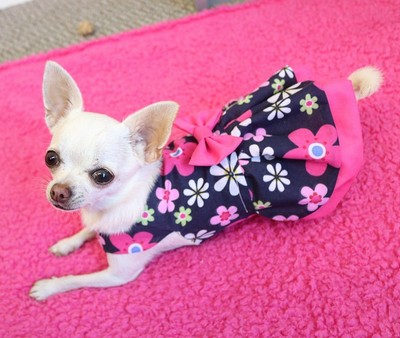 dog dresses for small dogs
