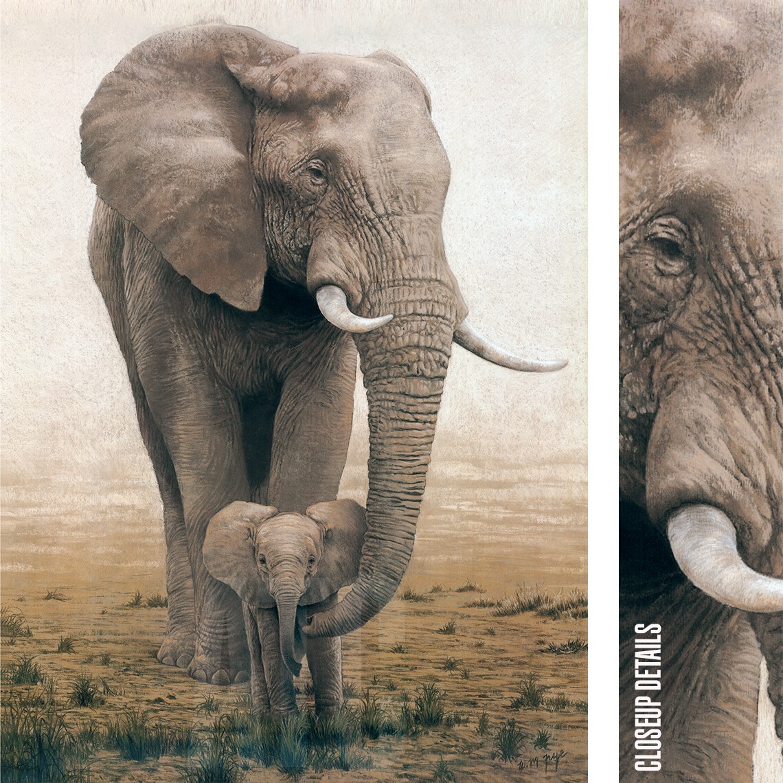 ELEPHANT 2冊 Amazon.com: zü​ny, zuny Series Bookend Tan for Shelves