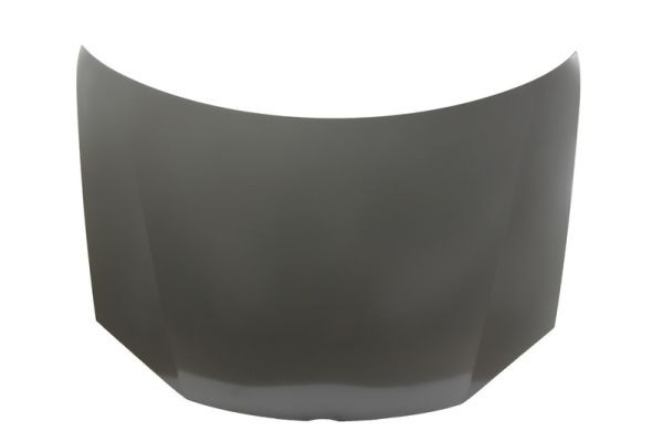 BLIC 6803-00-9544280P Bonnet for VW