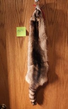 Light Color Raccoon Pelt Lot 03291