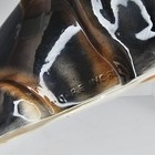 Bild 8 von 12