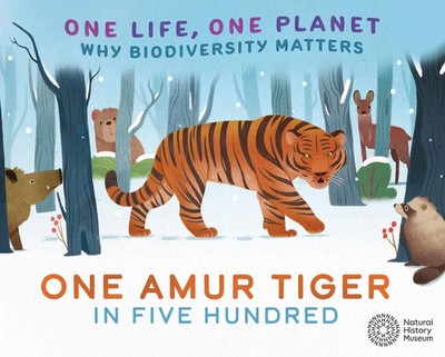 One Life, One Planet: One Amur Tiger in Five Hundred | Why Biodiversity Matters
