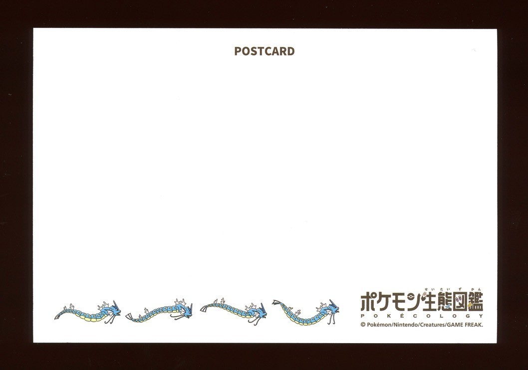 Pokemon Water Ecology Encyclopedia Postcard 2025 Pokemon Center