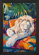 Sleeping White Lion Framed Wall Art Poster Canvas Print Picture