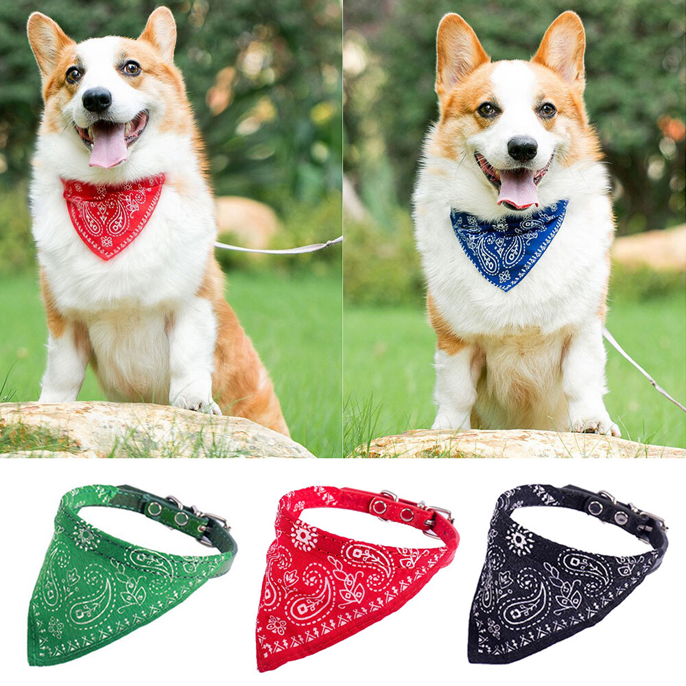 Cat Collar Dog Collar With Bandana Attached Dog Bandana Collar