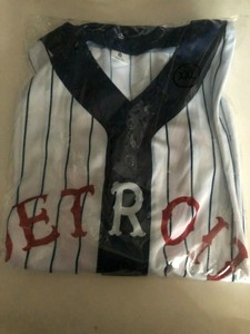 100th anniversary detroit stars replica jersey