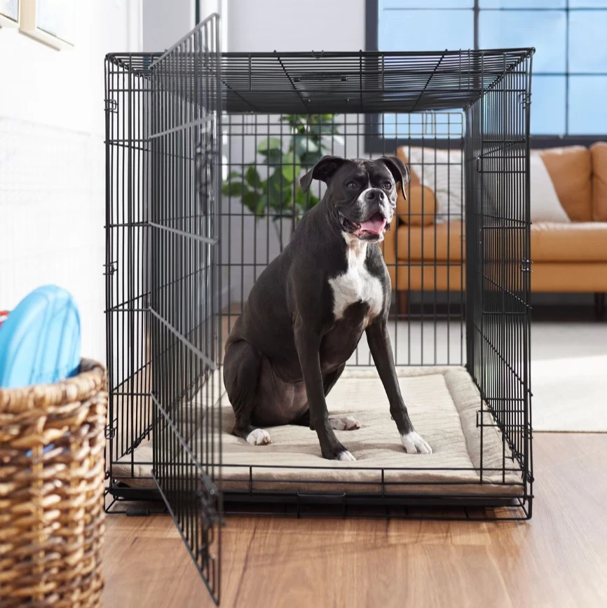 Collapsible wire dog outlet crate