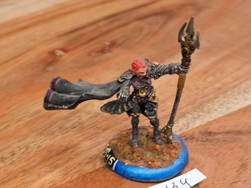 Hordas Warmachine Mercenarios Fiona la Negra METAL Pintado MC134 - Imagen 10 de 18