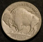 1920 S Buffalo Nickel Semi-Key Date Horn Details Holo-Restored Five 5c Coin C163