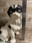 Foto 12 di 13