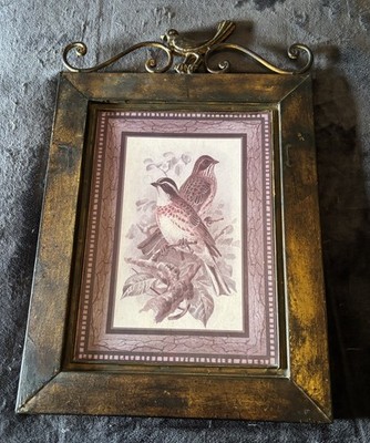 Metal Framed Kestrel Picture Paper Picture Bird Frame Unusual Unique 23x15  VTG