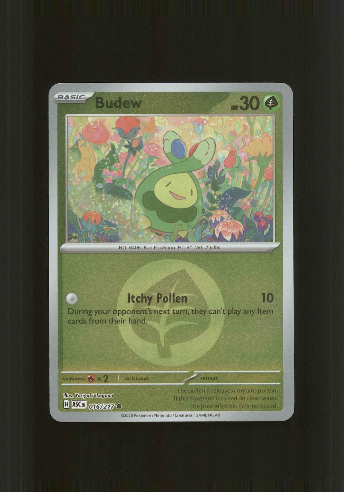 Budew Normal Common ME: Ascended Heroes 016/217 NM