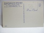 1950s SIGNED LOUIS AGASSIZ FUERTES POSTCARD PARAKEETS FROM THE ANDES OF COLUMBIA — photo 2