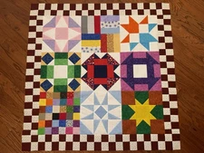 Sampler Colorful Lap or Baby Quilt Top