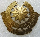Tentera Persekutuan Tempatan Malaysia Brass Cap Badge