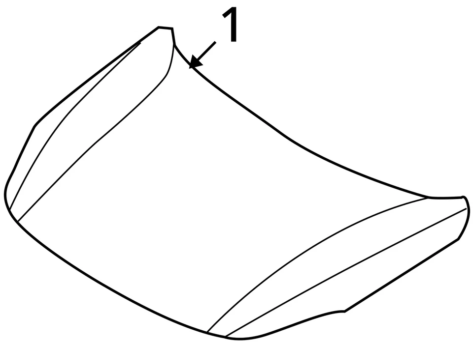 (LOCAL PICKUP ONLY) Hood Fits 07-12 VERACRUZ 725226 Foto 4 de 4