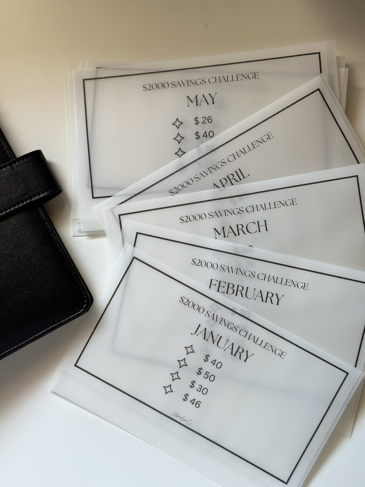 $2000 Savings Challenge Cash Envelope Matte Bundle Insert Water Resistant Budget