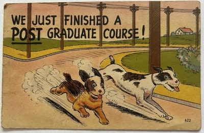 We Just Finished a Post Graduate Course Vintage Postcard | Cute Dogs, Cartoon