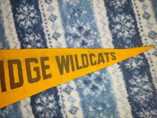  Vintage Woodridge Wildcats Pennant Banner Souvenir School Sports Felt  - Picture 3 of 7