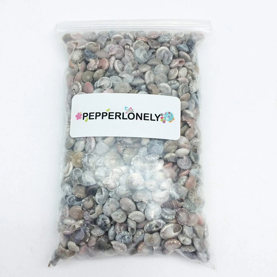 Pink Tiny Pearl Umbonium Button Sea Shells, 8 OZ Apprx.1200+ PC Shells, 3/8Inch - Image 3 of 3