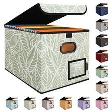 File Organizer Box with Lid, Collapsible File Folder Organizer with Plastic S...