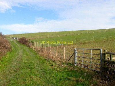 Photo 6x4 Whiteway (1) Rottingdean The name of the field according to Rot c2016