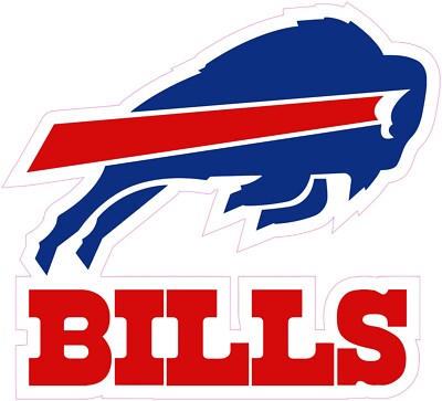 (NOT A PATCH) Buffalo Bills Football HTV Heat Transfer Vinyl Iron On