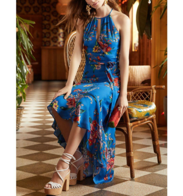 Parker Sz 8 Womens Davina Halter Dress Blue Silk Zinnia Floral Keyhole Hi-Low | eBay Parker Sz 8 Womens Davina Halter Dress Blue Silk Zinnia Floral Keyhole Hi-Low | eBay