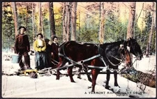 Collecting Sap at a Vermont Maple Sugar Grove ca. 1910 Color Postcard