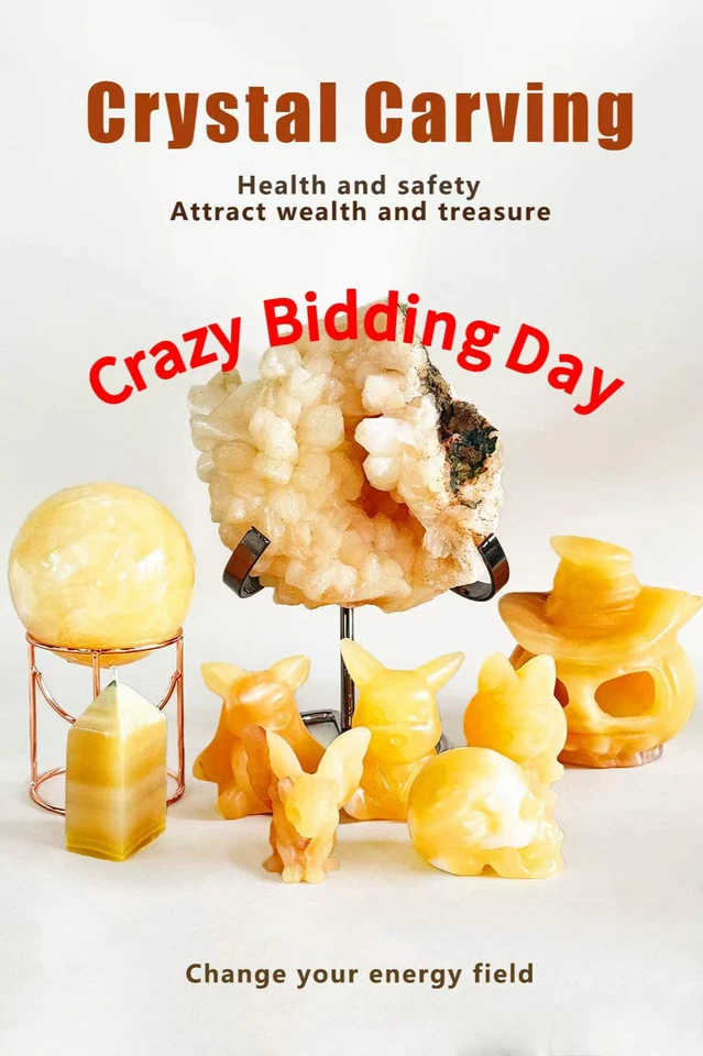 Crazy Bidding Party!!!