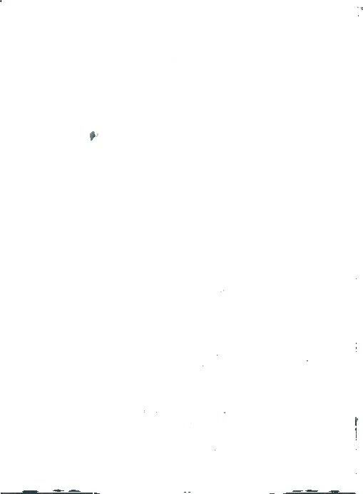 吸血鬼猎人巴菲冒险收藏集换卡