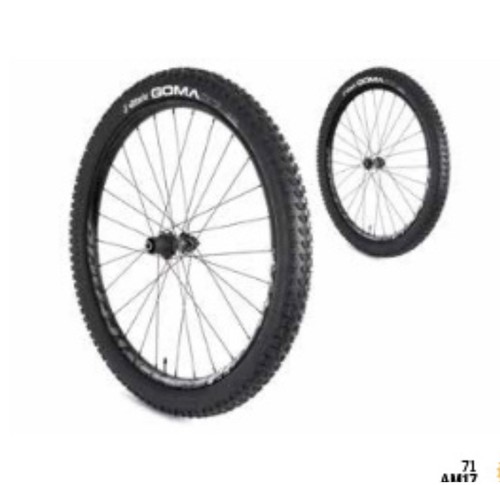 COPPIA RUOTE BICICLETTA VITTORIA MOUNTAIN BIKE REAXCION 29\