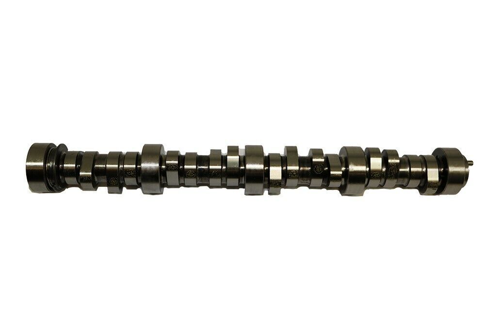 E1838P Sloppy Stage 1 Hydraulic Roller Camshaft For GM LS LS1 LS3 .560 Lift DC eBay