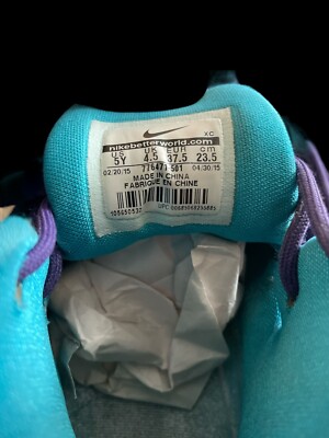 Nike LeBron Soldier 9 Charlotte Hornets Basketball Sneakers GS