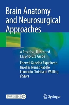 Brain Anatomy and Neurosurgical Approaches - 9783031148224