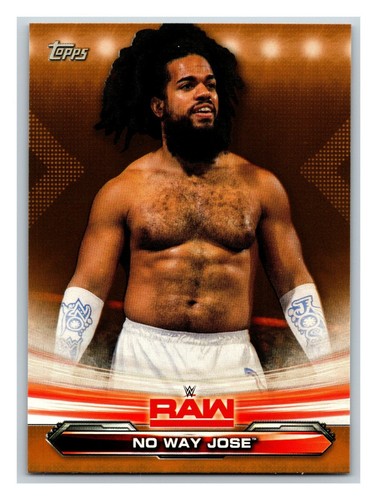 2019 Topps WWE RAW w/ Hometown Heroes & Bronze - Pick One - Fill Your Set - Picture 352 of 383