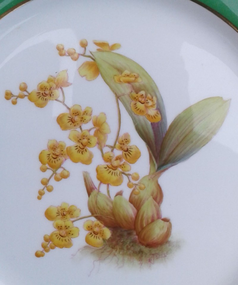 Shell Nameplate 10.5” SPODE TURTLE SHELL ORCHID HAND PAINTED PLATE - SIGNED J. PRICE ...